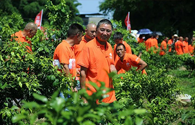 震驚：50元買一只紅蜘蛛？!——這一次，果農(nóng)們有話要說