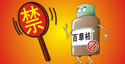 百草枯將被禁用?。繙缟猿輨┦袌?chǎng)進(jìn)入洗牌期，誰(shuí)能搶占先機(jī)？                   來(lái)源于  農(nóng)資與市場(chǎng)  王奕