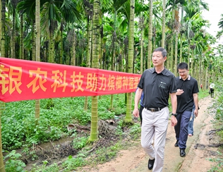 不斷創(chuàng)新納米農(nóng)藥，“銀農(nóng)三寶”助力檳榔提質(zhì)增收